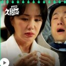 닥터룸