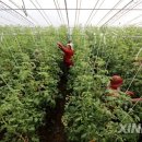 정재용농장 연합뉴스