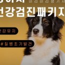 울산 강일웅동물메디컬센터 이미지