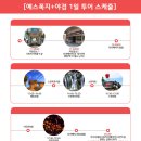 글로벌 차량광고 | [대만/타이페이] 마이리얼트립 예스폭지 버스투어 예약정보 라오허제야시장 내돈내산 솔직 후기