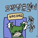 주)남숙 휴마트 | 26.05 넷째주 ~ 마지막주 일기 / 대구 베페 베베핀 해피콘서트 / 영천 큼지막