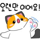 비잉비잉 동탄역점 이미지