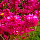 물향기공원 이미지