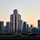 개미통신 이미지