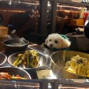 몽촌토성보리밥손칼국수 이미지