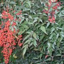 영남루1길 이미지