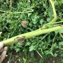 읍내7리 마을회관 이미지