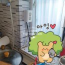 유진전기조명 네이버블로그