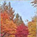 행정사사무소 동행 이미지