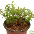 아소농장 이미지