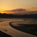 석양 속 생명의 날 이미지