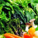 황제 쑥뜸 이미지