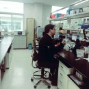 조이스킨 이미지