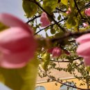 유다목장 이미지