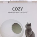 cozy24(코지) 이미지