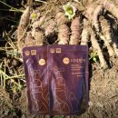 통화농장1 이미지