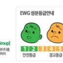 소노지아 이미지