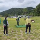 고흥골프장 전남매일