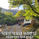 11650-7-8-12 | 국립공원공단야영장 덕유산 덕유대3 카라반12번(8인) 상세 후기