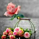 남하면사무소 이미지