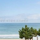해뜨는창문애견동반오션뷰펜션 | 해뜨는창문 애견동반 오션뷰펜션 애견과 함께한 특별한 여행 후기