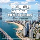 (주)푸른환경 | 2026 부산 해운대 모래축제 기간 끝나도 볼 수 있을까? 5월 19일 실시간 방문 후기