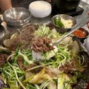 정은쌈밥 | 본점 평택고기집 가성비좋은 점심메뉴 돌판소불고기쌈밥 국내산한우육회비빔밥 추천후기 [평택 죽백동맛집]