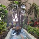 스파밸리 | 대구 스파밸리 겨울의 온천 꼼꼼 방문후기