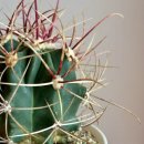 강수농장 이미지