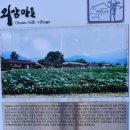 충남 아산 은행나무길과 신정호,현충사,공세리성당(2020.03.22)