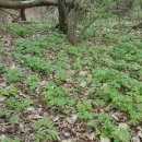 윤택농장 이미지