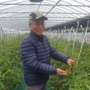 덕우농장 네이버블로그