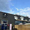 발바닥애견카페 이미지