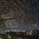 도림천 산책로3 이미지