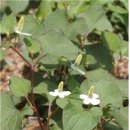 부평2동 이미지