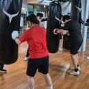 용인대W복싱짐 이미지