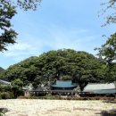 수능엄사 옆 이미지