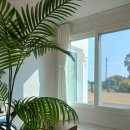 제주도펜션바다너머집 이미지