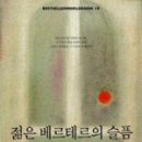 괴테의 젊은 베르테르의 슬픔 이미지