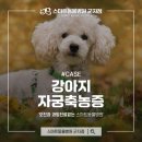 스마트동물병원 군자점 이미지