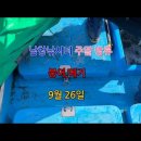 붕어랑메기랑 이미지