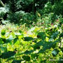 다향화원 이미지