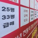 사다리나라