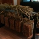 승규농장 이미지