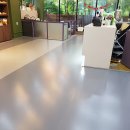 하이댕댕 이미지