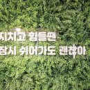 레지던스여유 이미지