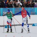 이채원 카카오 검색결과