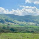 하백목장 이미지