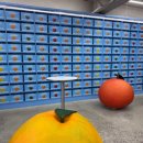 삐아리뽑기왕 3호점 | ✈️ 2박3일 제주도 서쪽 코스ㅣ가족 여행ㅣ웨이팅 없는 맛집ㅣ갓성비 숙소ㅣ두쫀쿠 추천