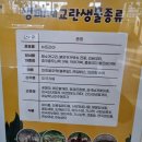 가야진사공원(원동A) | [양산시] 원동 &lt;가야진사공원&gt;, &lt;당곡생태학습관&gt;을 아이들과 다녀와서 2024.02.09